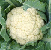 Cauliflower can prevent 5 types of cancer