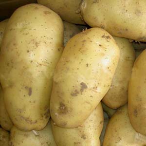 Causing stress for potatoes
