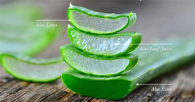 Caution should be exercised when using aloe vera through eating and drinking