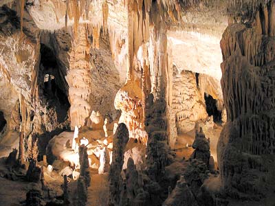 Cave: Natural museum house