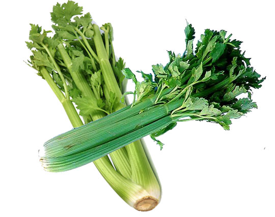 Celery prevents dementia
