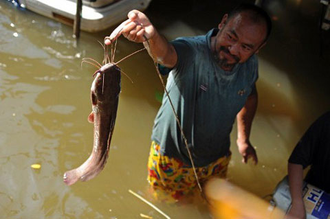 Central Bangkok can flood up to 1.5m