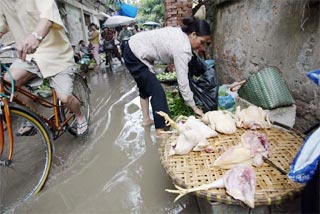 Central: Flood water threatens to spread avian influenza