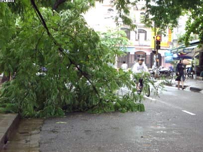 Central Highlands: Heavy rain, 20 people died, missing