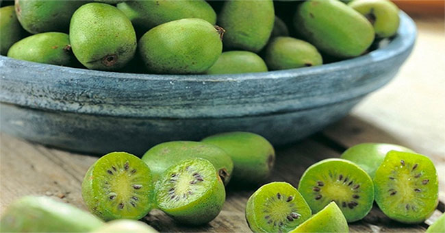 Certainly 9 out of 10 people will be wrong to just look at this fruit's appearance!