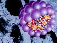 Cervical cancer - a viral infection