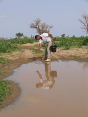 Change the environment to fight malaria