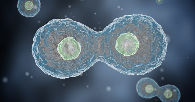 Changing the copy process of DNA can kill cancer cells