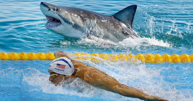 Characteristics to help white sharks defeat the fisherman Michael Phelps