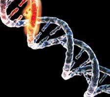 Cheap gene map for individuals
