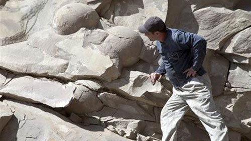 Chechnya claims to find the most dinosaur