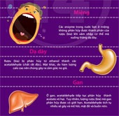 Check the harmful effects of alcohol on each part of the body