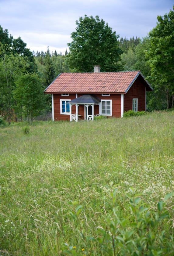 Chernobyl Pluton radioactive dust is found in soil