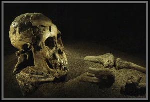 Child 3 million years old