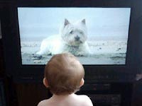 Children under 2 years old should not watch TV