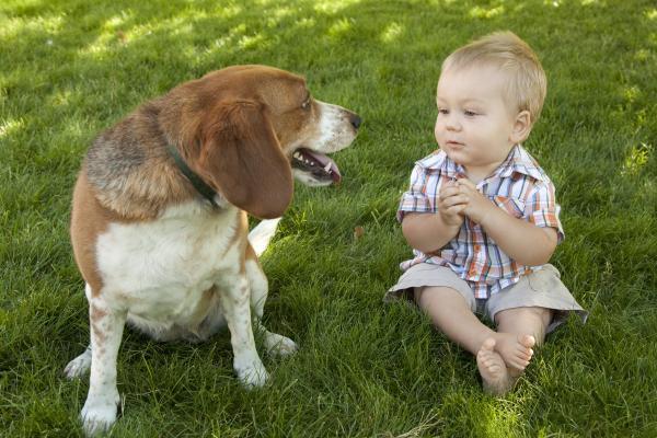Children understand dog mentality through barking dogs