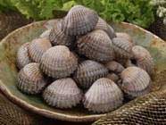 Children with zinc deficiency will stunt and slow up puberty