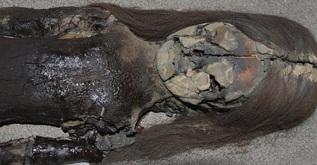 Chile seeks support to preserve the oldest mummies in the world