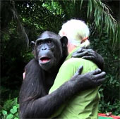 Chimp hug goodbye