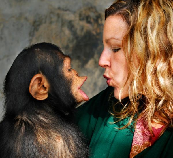 Chimp is attracted to the face image