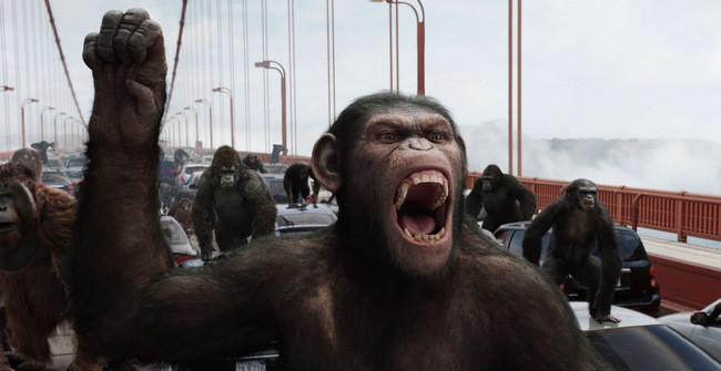 Chimpanzees are so clever now ... know how to play
