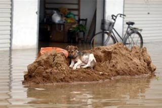 China: 360 people died in the rainy season