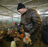 China added 10 cases of H7N9 infection in 1 day