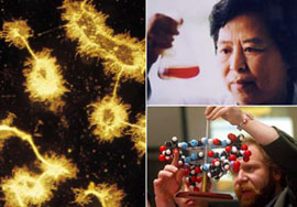 China: Allowing failure in science