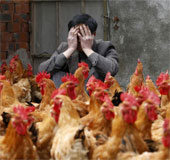 China announced the origin of H7N9