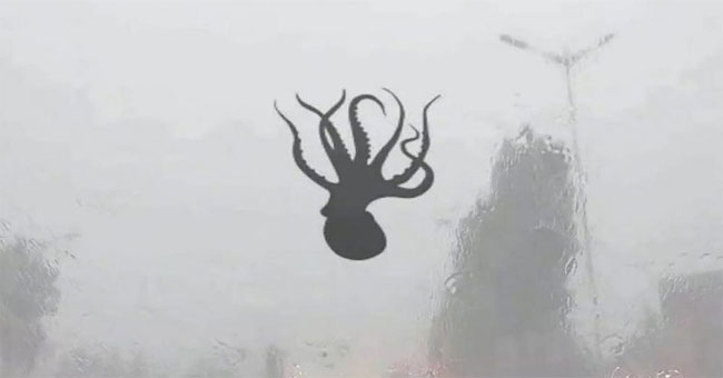 China appears strange seafood rain