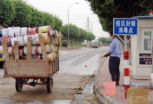 China confirmed bird flu outbreak in Guangdong