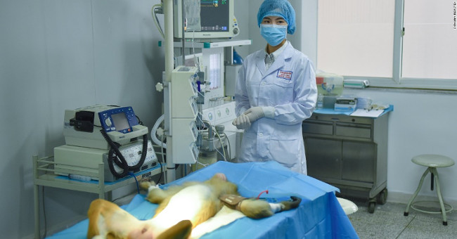 China develops 3D biological printers that can produce human tissue