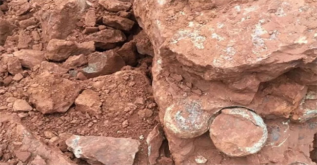 China: Digging soil to build, discovered a series of dinosaur eggs of 145 million years