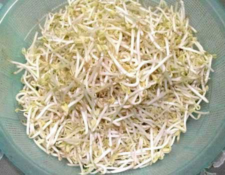 China discovered 25 tons of toxic sprouts