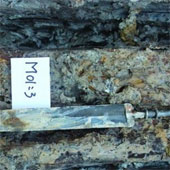 China discovered a 2000-year-old green bronze sword as new