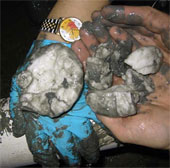 China discovered large hydrate reserves in the South China Sea