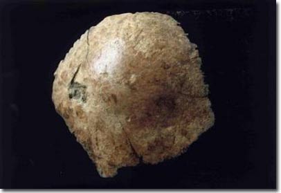 China discovered skull fossils almost completely
