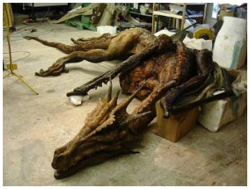 China: Discovering fossils of dragons