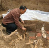 China excavated the tomb of Qin Shihuang's grandmother