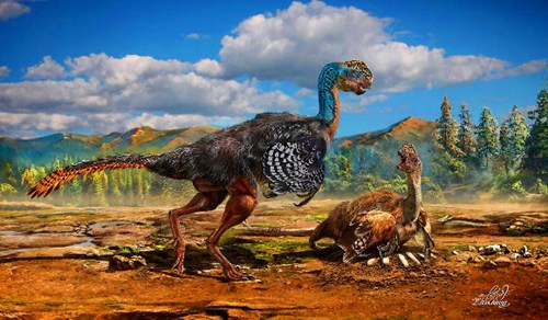 China: Finding new dinosaur fossils