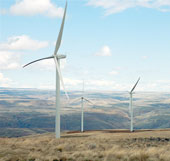 China focuses on green growth