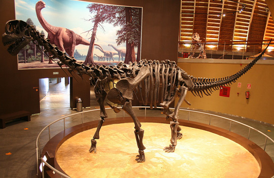China found 60 dinosaur populations
