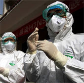 China found antibodies that promise to cure influenza A / H7N9