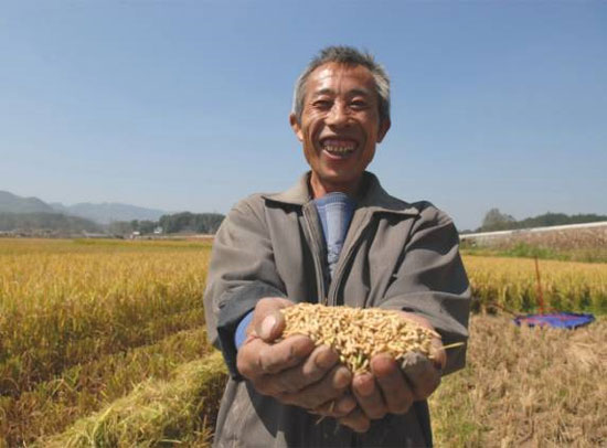 China has successfully bred super hybrid rice