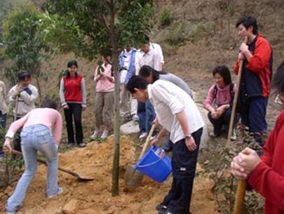 China: increase plantation area