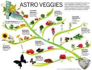 China intensifies sowing seeds in space