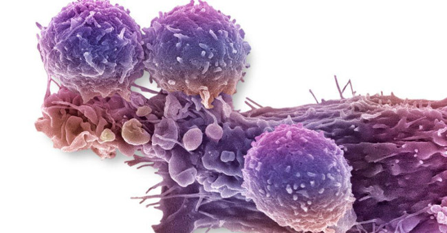 China is about to test genetic modification on humans