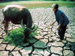 China: Long drought, record flood