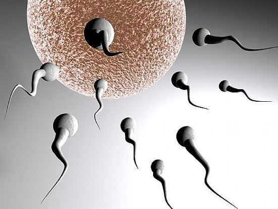 China: Older men are more difficult to have children