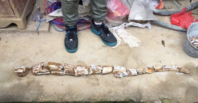 China: Pile the foundations, discover 10,000-year-old rare objects